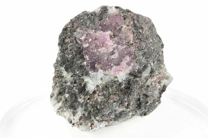 Fluorescent Ruby and Almandine Garnet in Matrix - Russia #247170